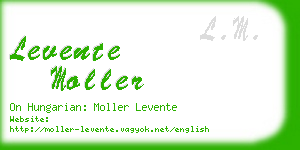 levente moller business card